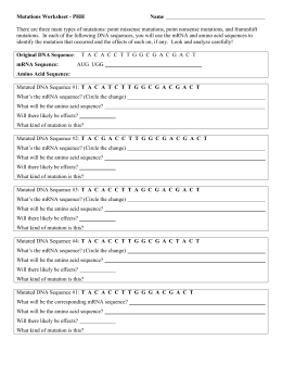 Mutations Worksheet