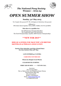 open summer show - National Pony Society | Wessex Area 24