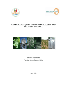 Gender and bioenergy - Centre of African Studies