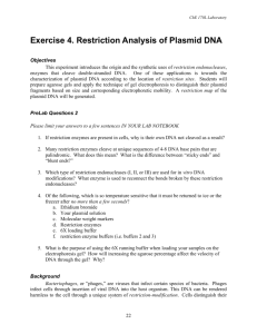 Exercise 4. Restriction Analysis of Plasmid DNA