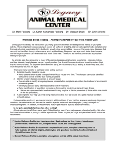 Wellness Blood Testing - Legacy Animal Medical Center