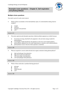 Exemplar exam questions - Cambridge Resources for the IB Diploma