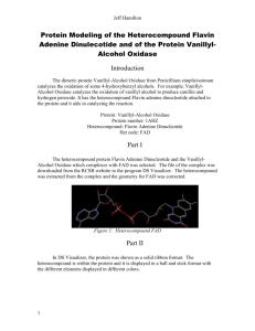Overall Analysis of Vanillyl-Alcohol Oxidase and