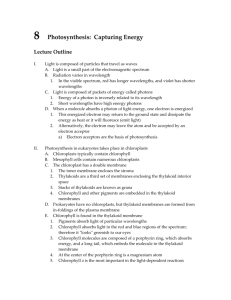 Chapter 8: Photosynthesis: Capturing Energy