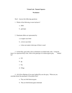Lab 6 Answer Sheet