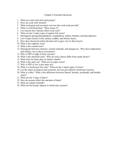 Chapter 6 Essential Questions