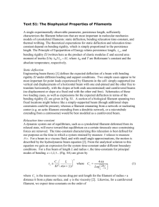 Text S1: The Biophysical Properties of Filaments