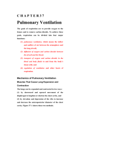 Pulmonary 1 Ventilation