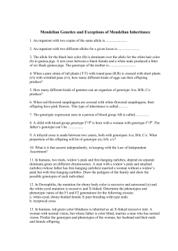 blood type practice questions