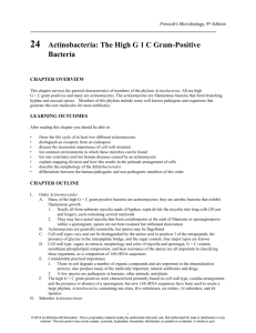 Prescott`s Microbiology, 9th Edition 24 Actinobacteria: The High G 1