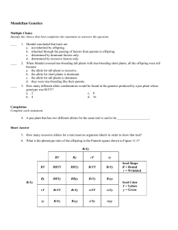 Practice Genetics Problems