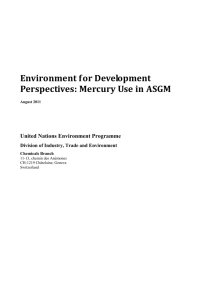 Environment for Development Perspectives: Mercury Use in
