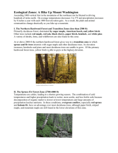 Ecological Zones: A Hike Up Mount Washington