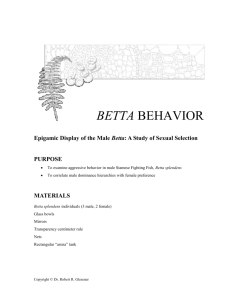 "Betta Behavior " Chapter 8 in Symbiosis