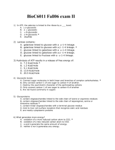 Sample exam questions Chapter 11 Carbohydrates