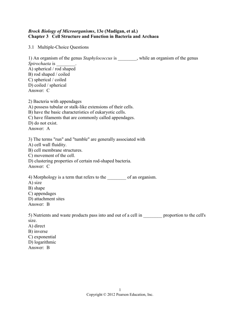 Brock Biology Of Microorganisms 13th Ppt Brock Biology Of Microorganisms 13th Edition Powerpoint