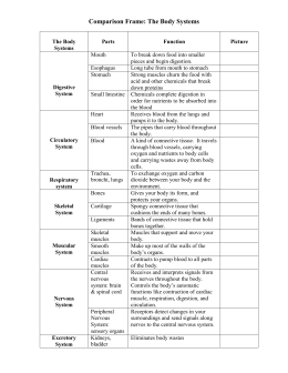 Human Body Test Review sheet: