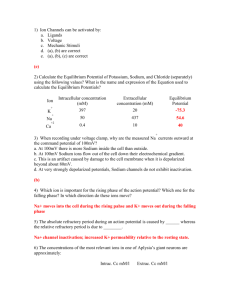 4-Calculate the Equilibrium Potential of Potassium, Sodium, and
