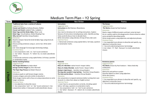 Medium Term Plan – Y2 Spring Term Fiction Non