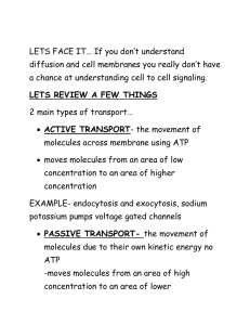 Notes Ch. 34 Endocrine System (remember odd typos)