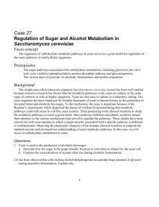 Case 27 Regulation of Sugar and Alcohol Metabolism in