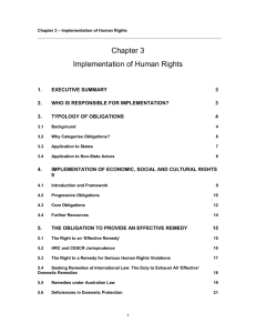 Implementation of Human Rights