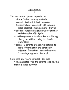 Ch. 11 Reproduction/Meiosis