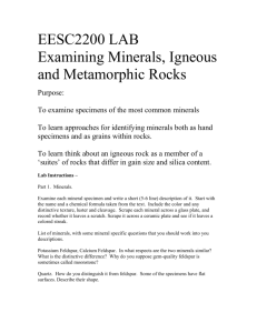 EESC2200 lab - Examining Minerals, Igneous and Metamorphic