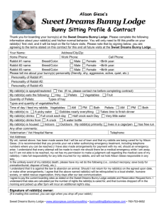 Profile & Contract - Sweet Dreams Bunny Lodge