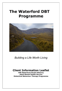 Waterford DBT Programme Information leaflet