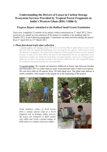 Progress Report I - Rufford Foundation