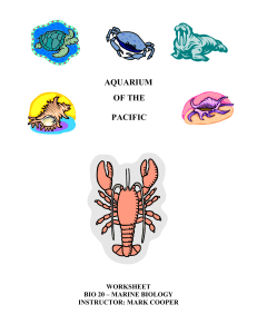 Marine Biology Classification