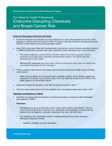Endocrine Disrupting Chemicals Fact Sheet