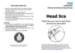 Head Lice - Calderdale Learning Network