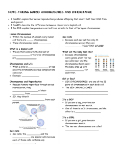 Note-taking Guide-Chromosomes and Inheritance