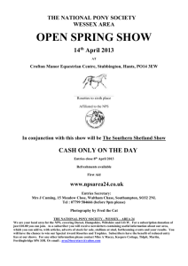 open spring show - National Pony Society | Wessex Area 24