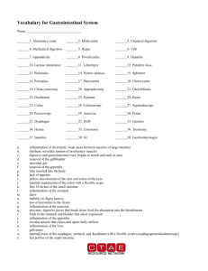 Vocabulary for digestive and renal systems