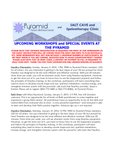 upcoming pyramid workshops/opportunities