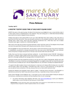 Wild West follow-up - The Mare & Foal Sanctuary