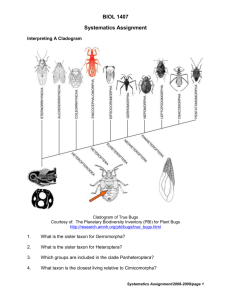 Systematics Assignment revised 2009