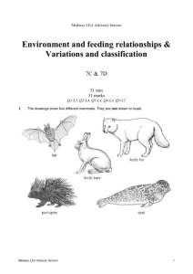 Environment and feeding relationship/variations and classification