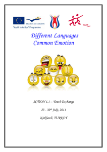 Different Languages Common Emotion ACTION 1.1 – Youth