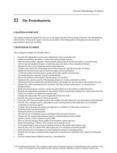 Prescott`s Microbiology, 9th Edition 22 The Proteobacteria