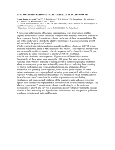 The ethanol stress response of Lactobacillus plantarum WCFS1