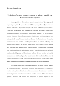 Przemysław Gagat Evolution of protein transport systems in primary