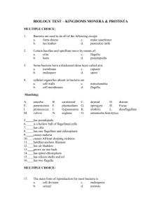 BIOLOGY TEST – CHAPTERS 8, 9, &10