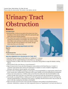 urinary_tract_obstruction