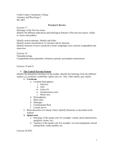 Lab Practical 2 review sheet