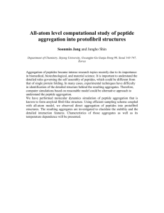 All-Atom Level Computational Study of Peptide Aggregation