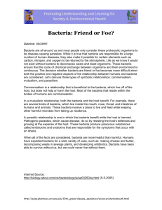1 copy of article – Bacteria: Friend or Foe